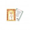 Pope Francis - Gold laminated holy picture