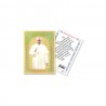 Pope Francis Pastoral Red Frame