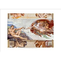 CREAZIONE DI ADAMO (particolare) Michelangelo - Cappella Sistina, Citta' del Vaticano