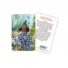 Saint Francis - plasticized religious card with rosary