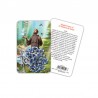 Saint Francis - plasticized religious card with rosary