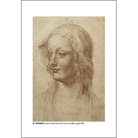 STUDY OF FEMALE HEAD Leonardo - Galleria degli Uffizi, Florence