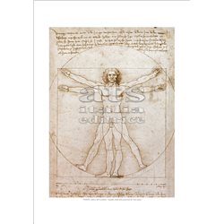 STUDY OF PROPORTION - VITRUVIAN MAN