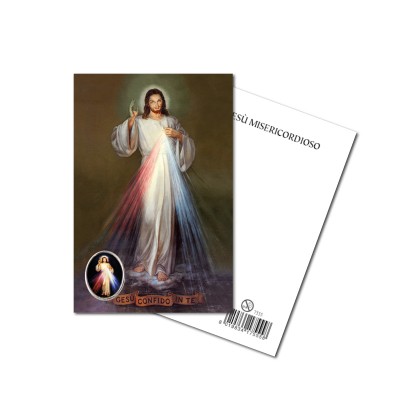 MERCIFUL JESUS - Metal pin with Holy Picture