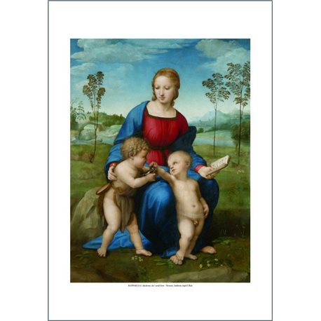 MADONA DEL CARDELLINO Raffaello, Galleria degli Uffizi - Firenze