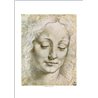 TESTA DI GIOVINETTA Leonardo