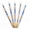 Pencils Leonardo Painting 5 pcs