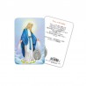 Miraculous Madonna - Plasticized religious card with medal