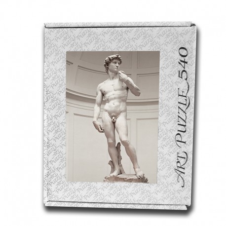 Art Puzzle, David by Michelangelo