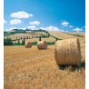 Calendar 31x34 cm - TUSCANY MOUNTING