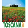 Calendario 16x17 cm TOSCANA - CIPRESSI