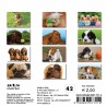 Calendar 8x8 cm PUPPIES