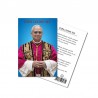 "Pope Leo XIV" holy picture with prayer