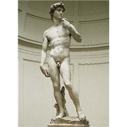 THE DAVID - Florence - Gallery of Accademy