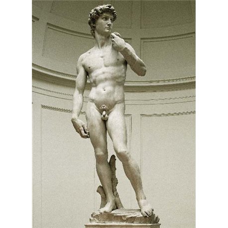 IL DAVID - Firenze - Galleria dell'accademia