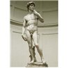 THE DAVID - Florence - Gallery of Accademy