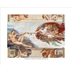 CREAZIONE DI ADAMO Michelangelo - Cappella Sistina, Citta' del Vaticano
