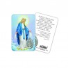 Madonna miracolosa - Immagine religiosa plastificata (card) con medaglietta