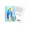 Miraculous Madonna - Plasticized religious card with medal
