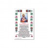 Holy Heart of Mary- Holy picture on parchment paper