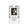 Saint Rita - Holy picture on parchment paper