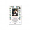 Saint Rita - Holy picture on parchment paper with decade rosary pin